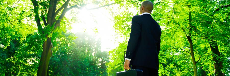 Banner 2