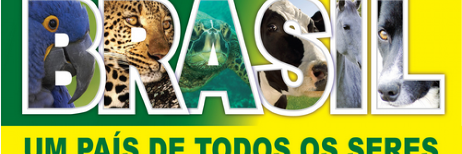 brasil